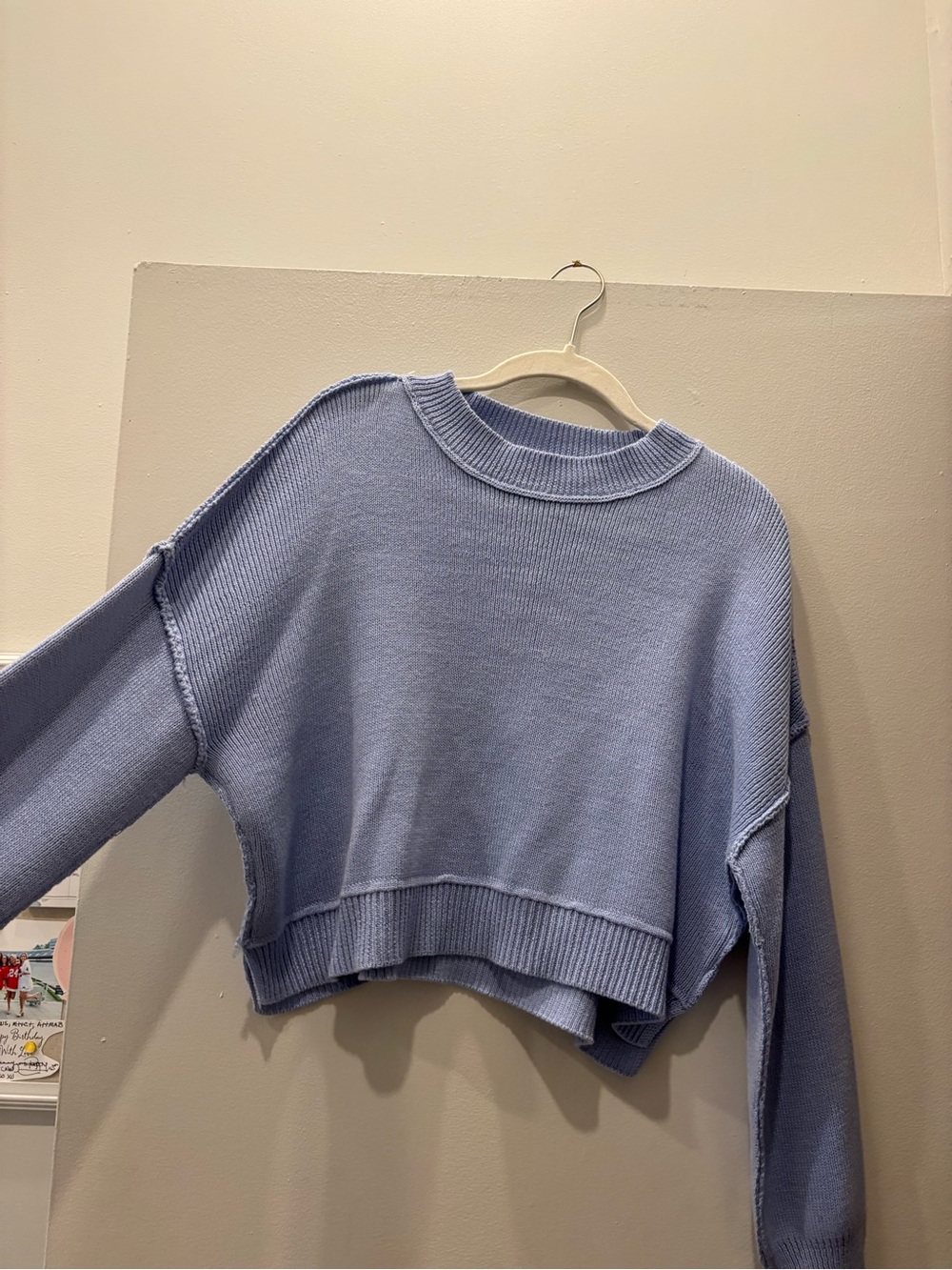 Pink Rose Light Blue Cropped Crewneck Sweater